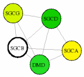 view graph image