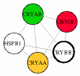 view graph image