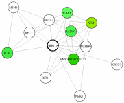 view graph image