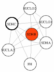 view graph image