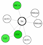 view graph image