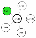 view graph image