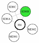 view graph image