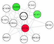 view graph image