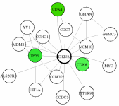 view graph image