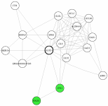 view graph image