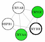 view graph image
