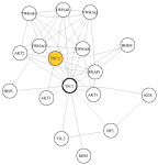 view graph image