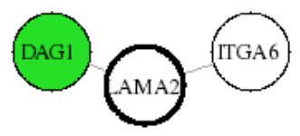 view graph image