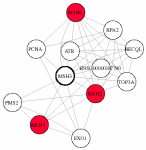 view graph image