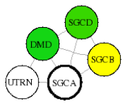view graph image