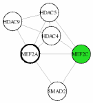 view graph image