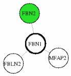 view graph image