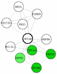 view graph image