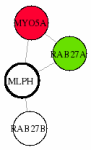 view graph image